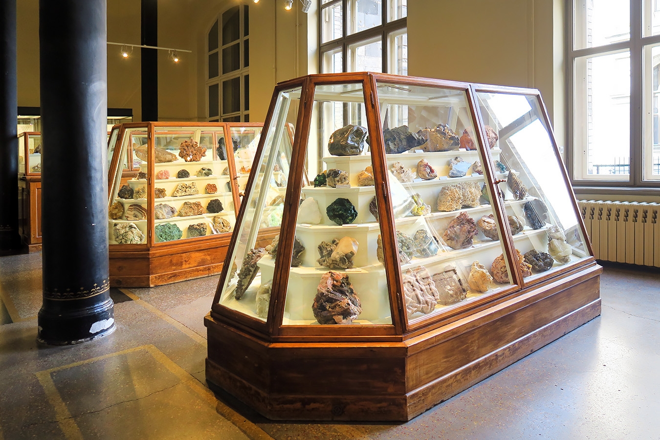 museum fur naturkunde berlin 5-2025 1234