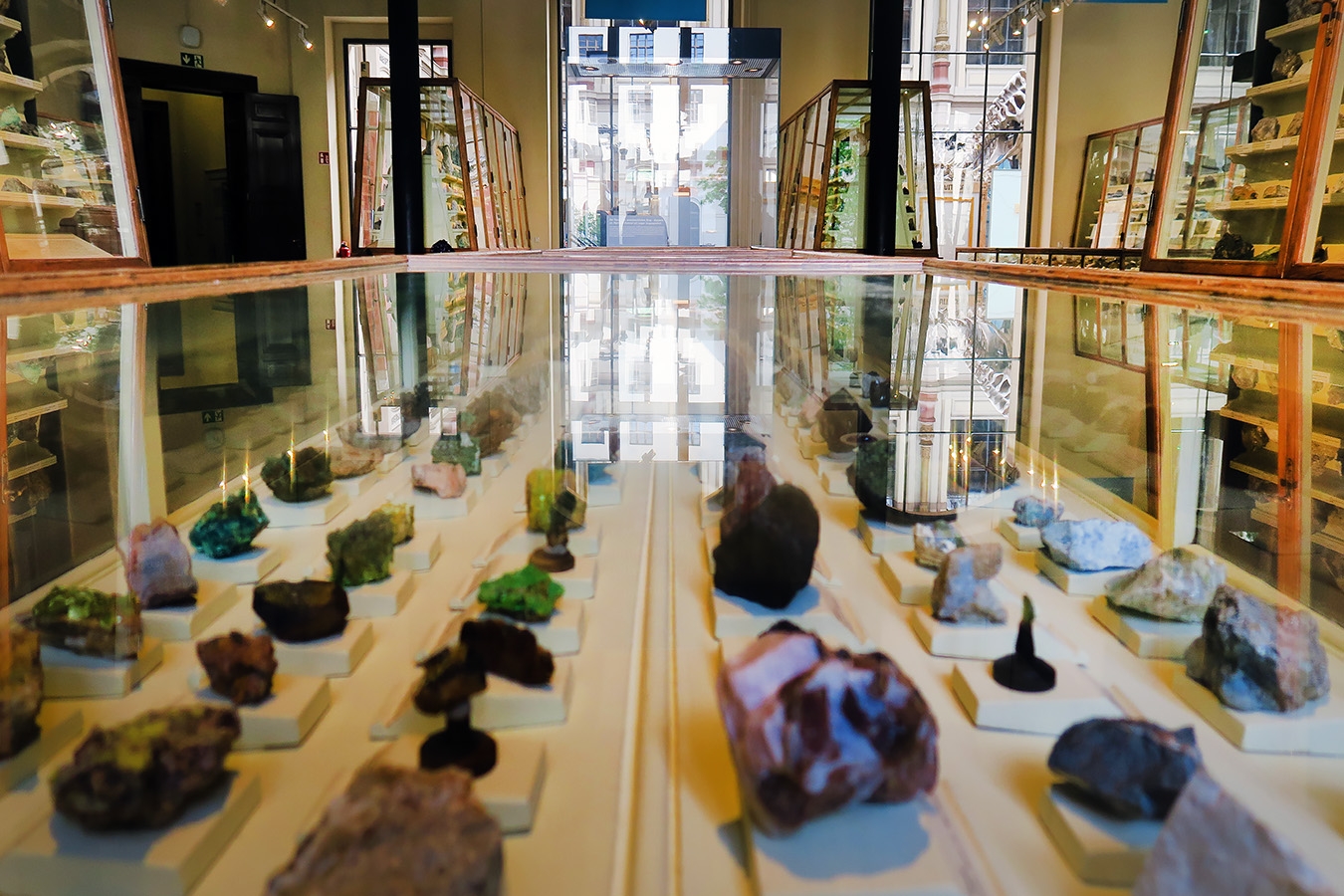 museum fur naturkunde berlin 5-2025 1245