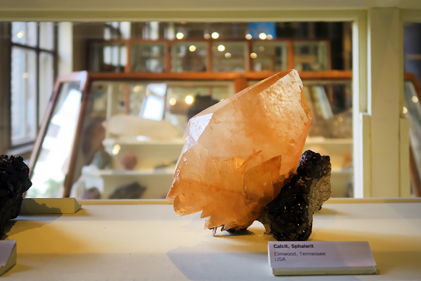 museum fur naturkunde berlin 5-2025 1253