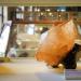 museum fur naturkunde berlin 5-2025 1253