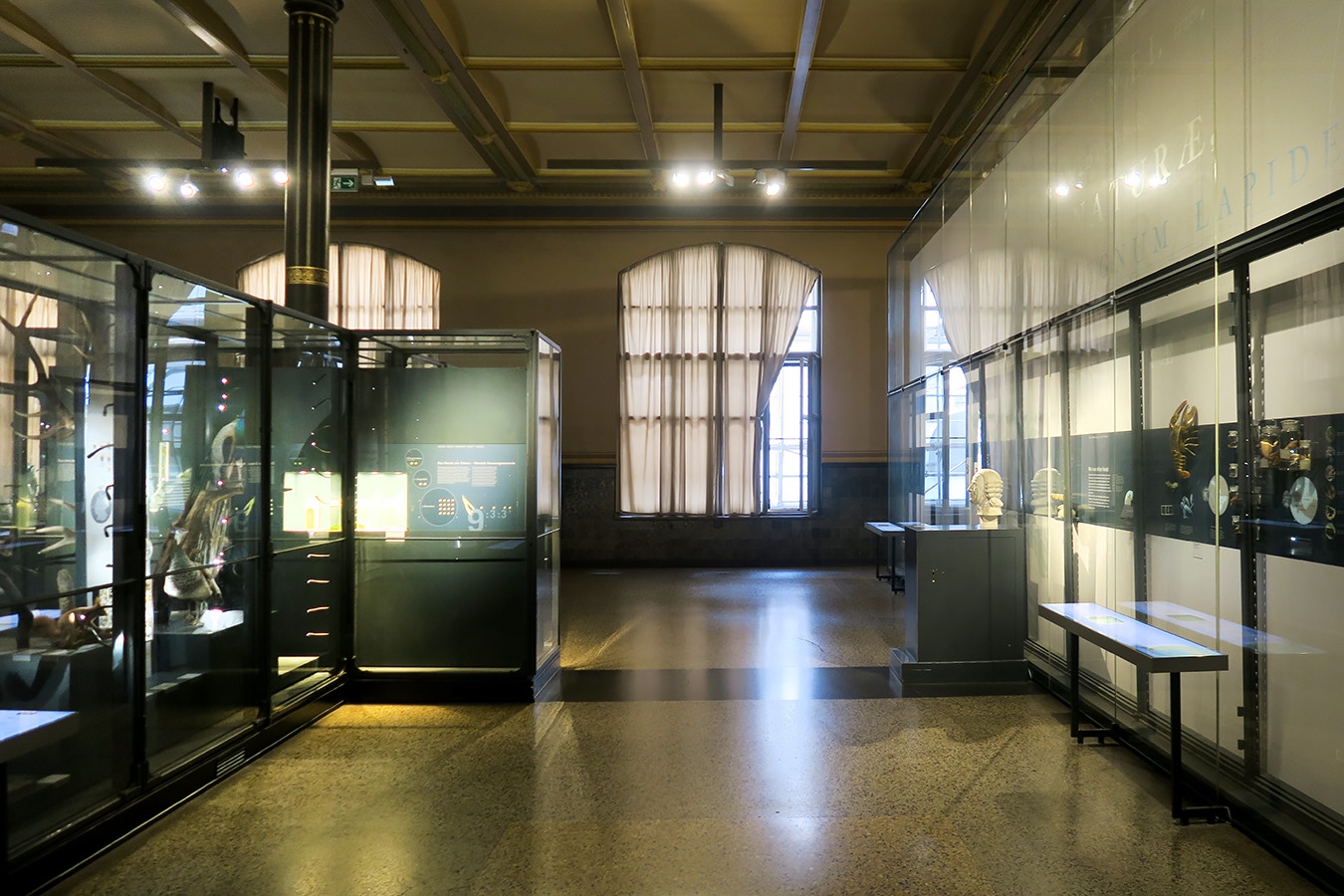 museum fur naturkunde berlin 5-2025 1277