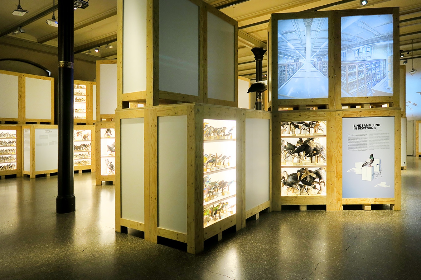 museum fur naturkunde berlin 5-2025 1297