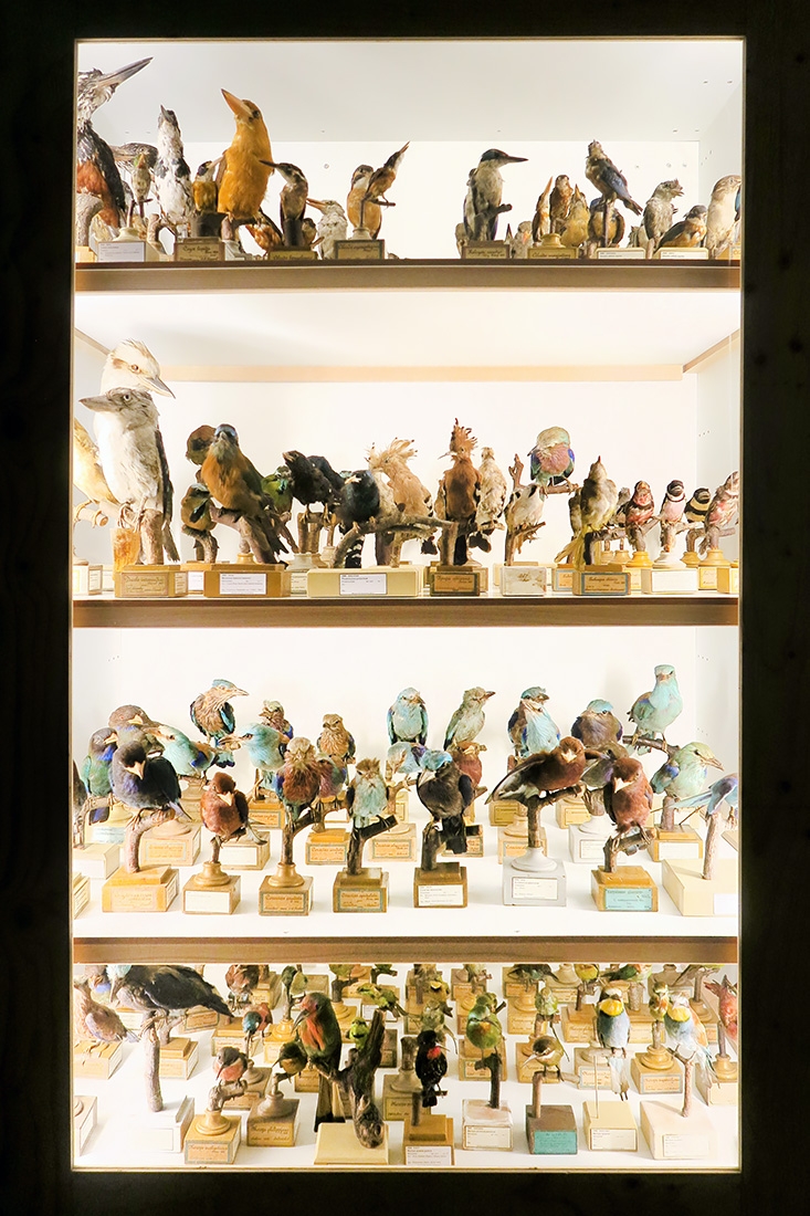 museum fur naturkunde berlin 5-2025 1298