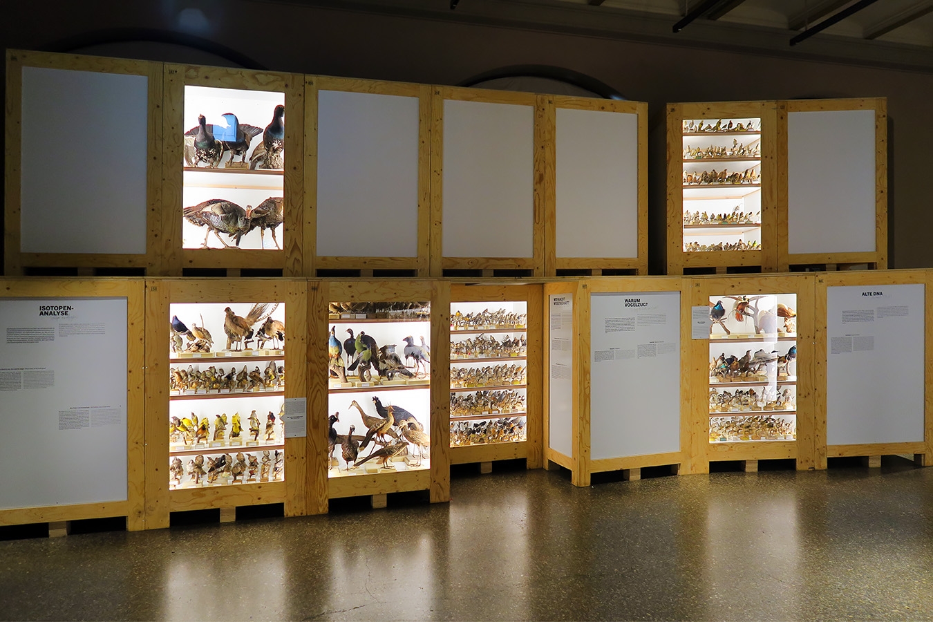 museum fur naturkunde berlin 5-2025 1306