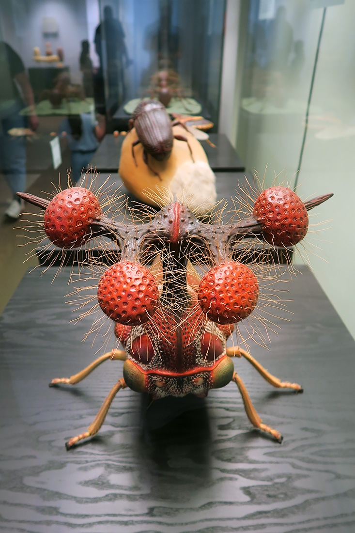 museum fur naturkunde berlin 5-2025 1373