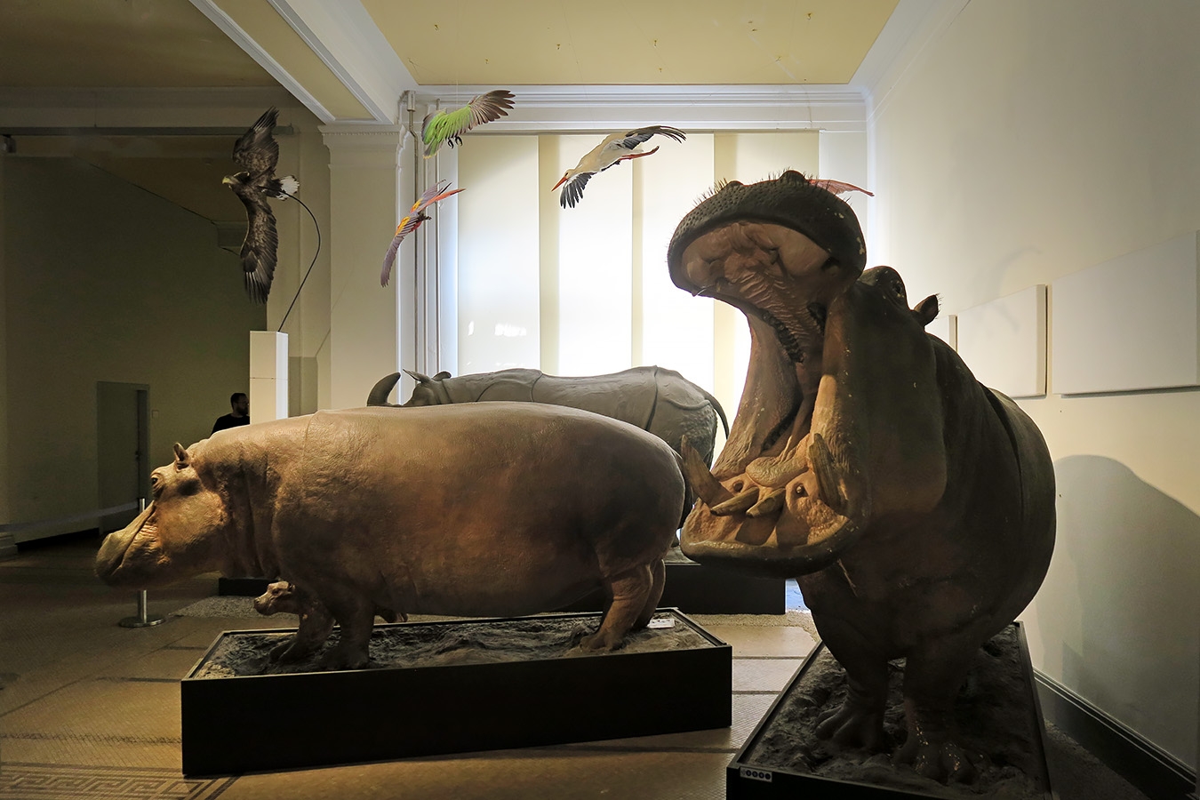 museum fur naturkunde berlin 5-2025 1405