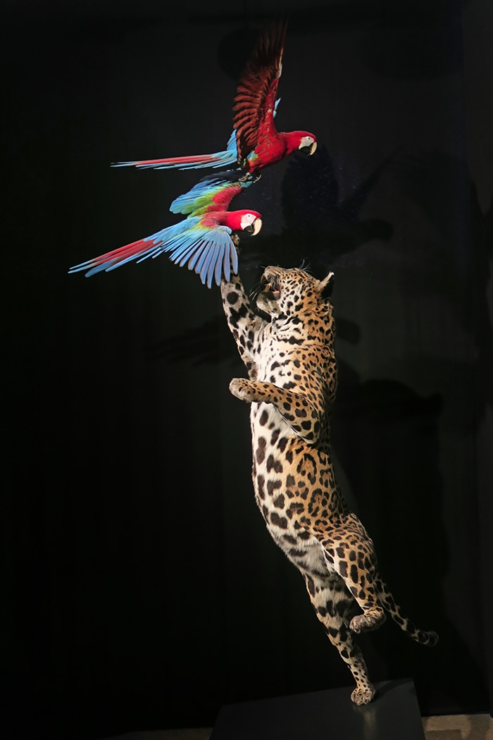 museum fur naturkunde berlin 5-2025 1415