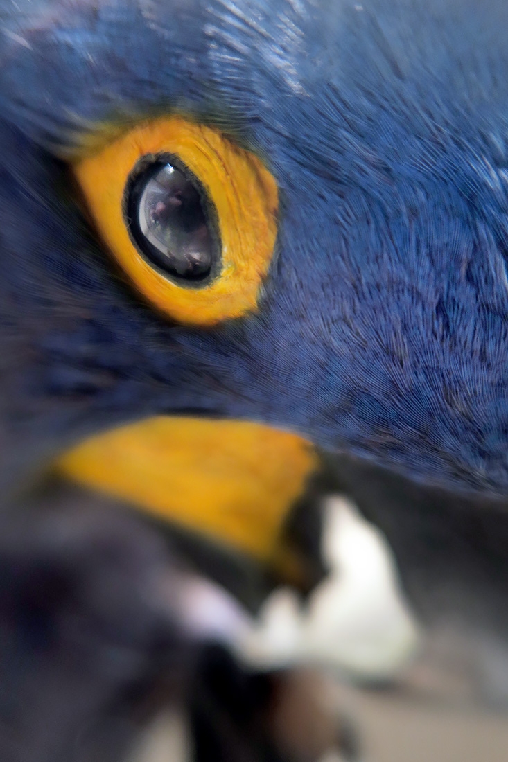 museum fur naturkunde berlin 5-2025 1445