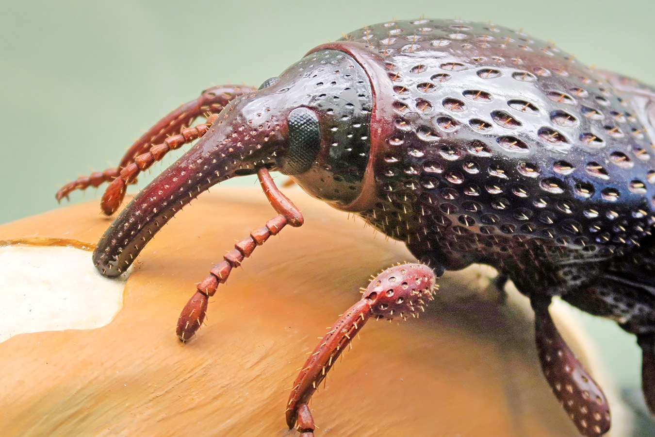 museum fur naturkunde berlin 5-2025 1456