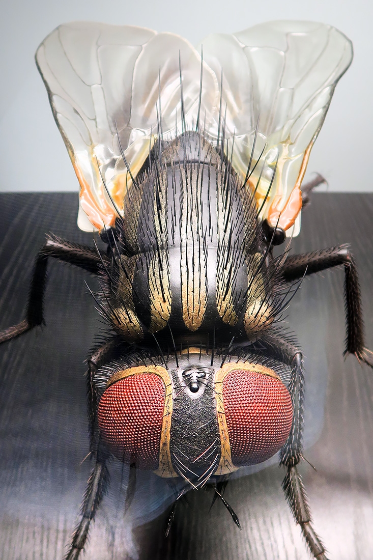 museum fur naturkunde berlin 5-2025 1458