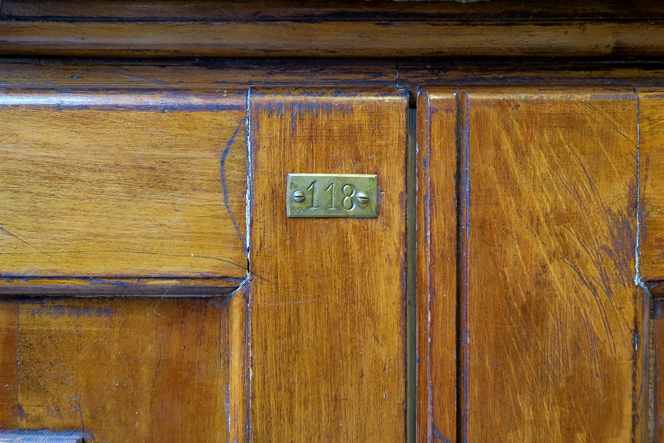 museum fur naturkunde berlin 5-2025 1491