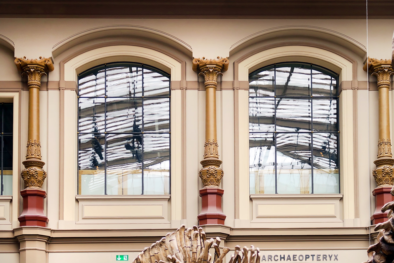 museum fur naturkunde berlin 5-2025 1495