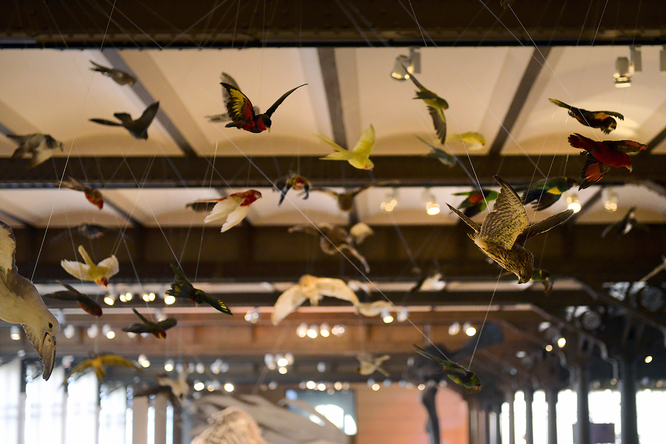 museum voor natuurwetenschappen brussel 11-2022 5532