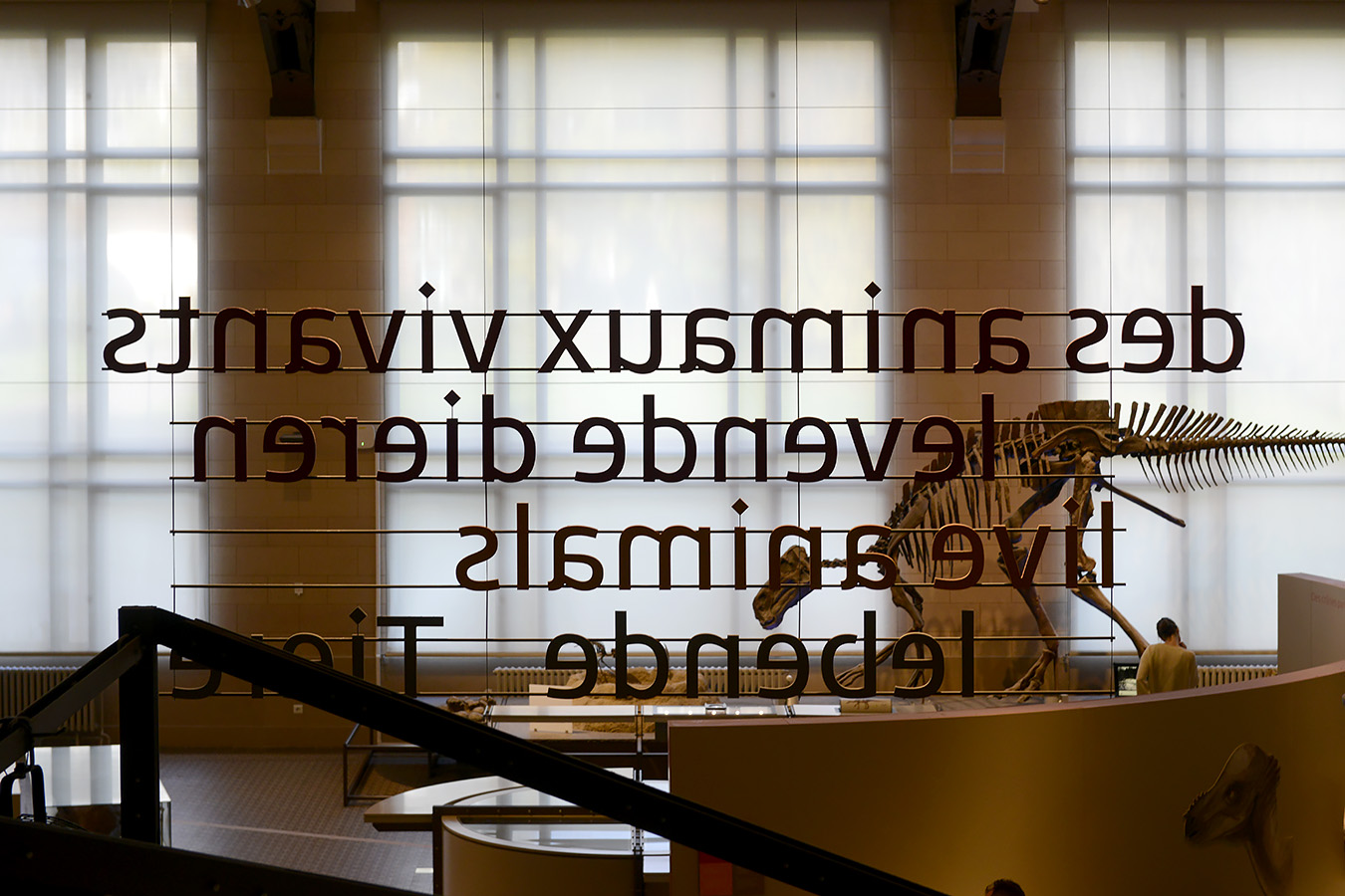 museum voor natuurwetenschappen brussel 11-2022 5533