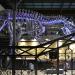 museum voor natuurwetenschappen brussel 11-2022 5559