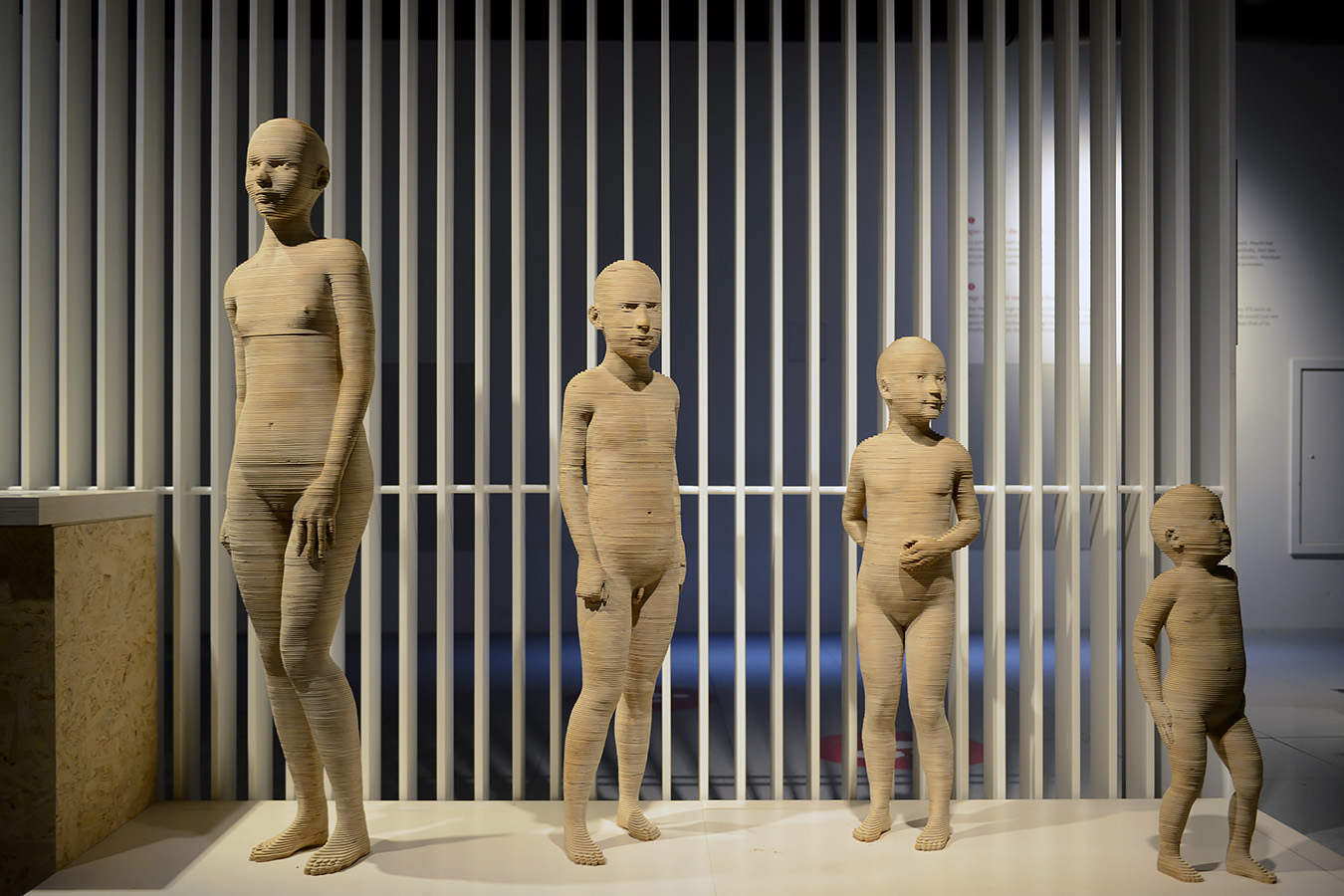 museum voor natuurwetenschappen brussel 11-2022 5590