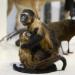 museum voor natuurwetenschappen brussel 11-2022 5624
