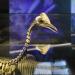 museum voor natuurwetenschappen brussel 11-2022 5634