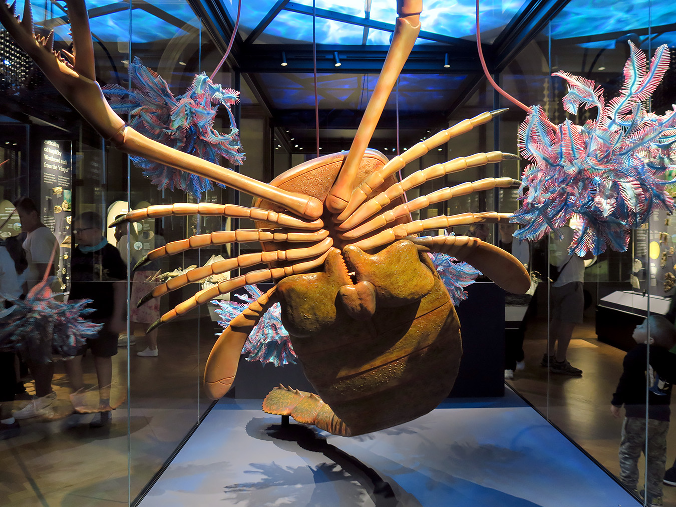 narodni muzeum praag 7-2023 8968