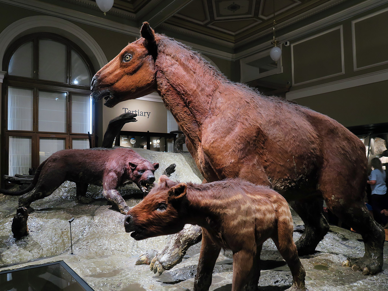 narodni muzeum praag 7-2023 8979