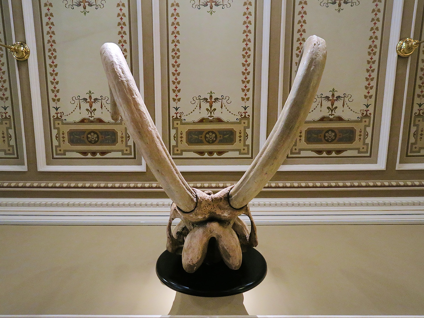 narodni muzeum praag 7-2023 8987