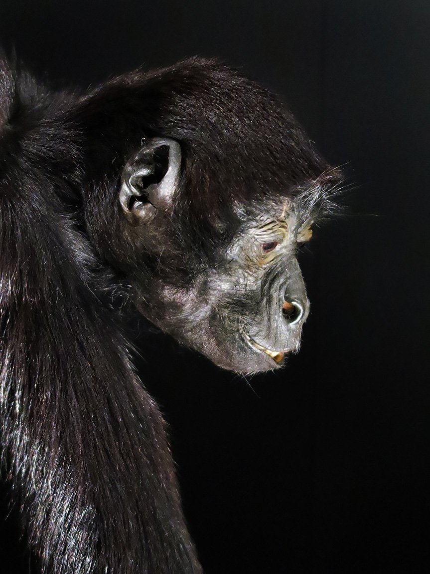 narodni muzeum praag 7-2023 9008