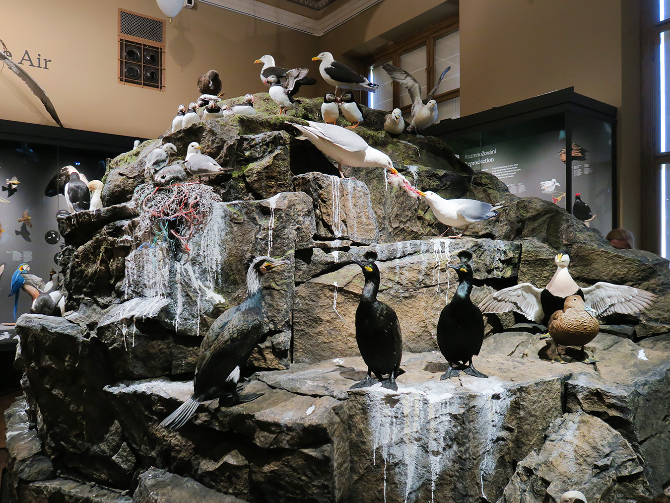 narodni muzeum praag 7-2023 9029