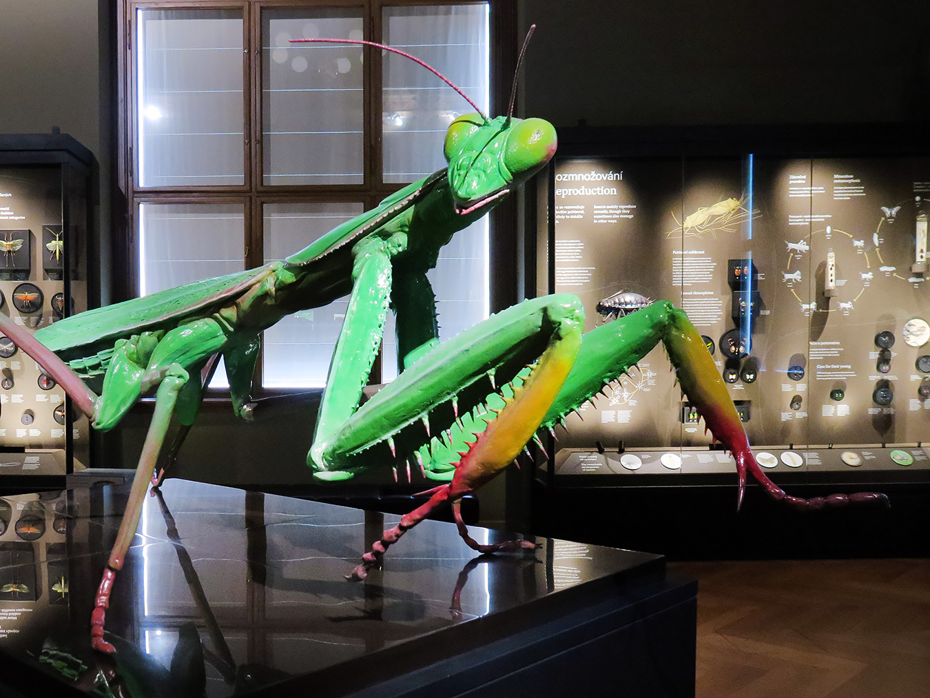 narodni muzeum praag 7-2023 9040