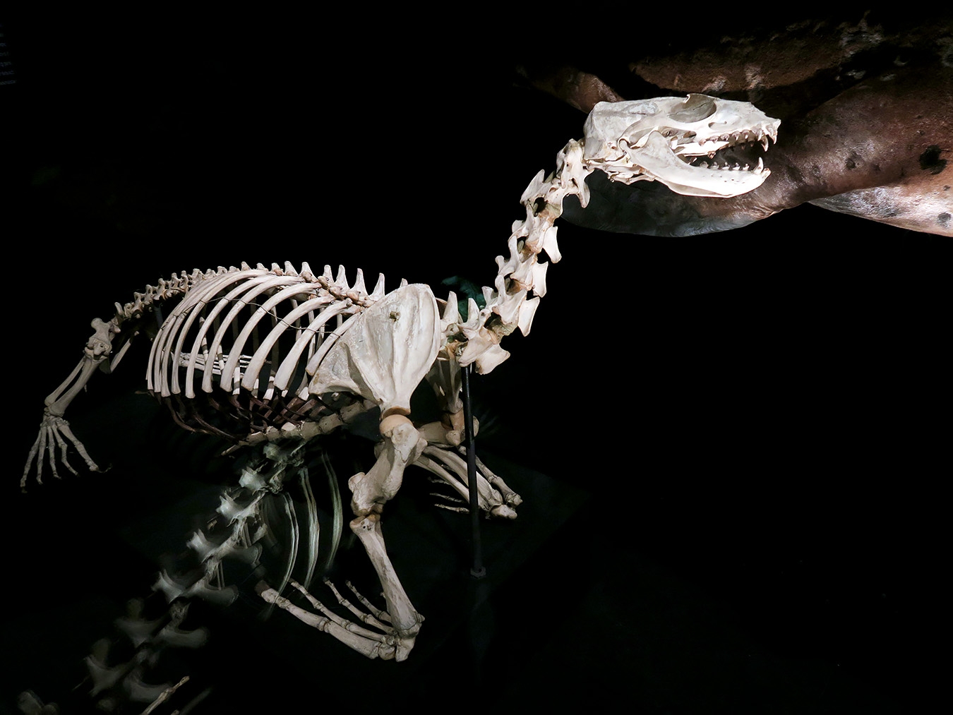 narodni muzeum praag 7-2023 9051