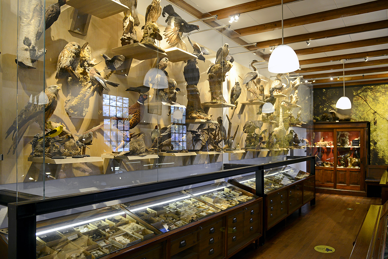 natura docet denekamp 4-2022 2191