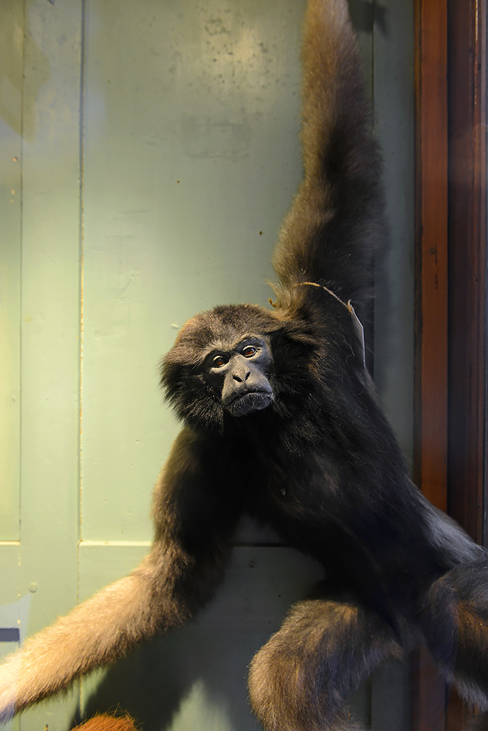 natura docet denekamp 4-2022 2229