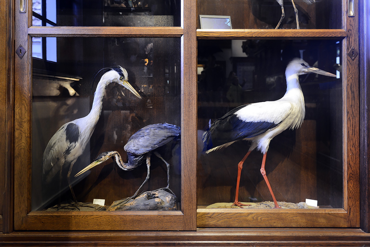 natura docet denekamp 4-2022 2274