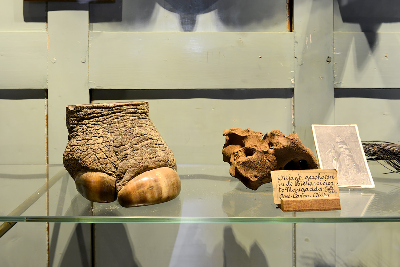 natura docet denekamp 4-2022 2311