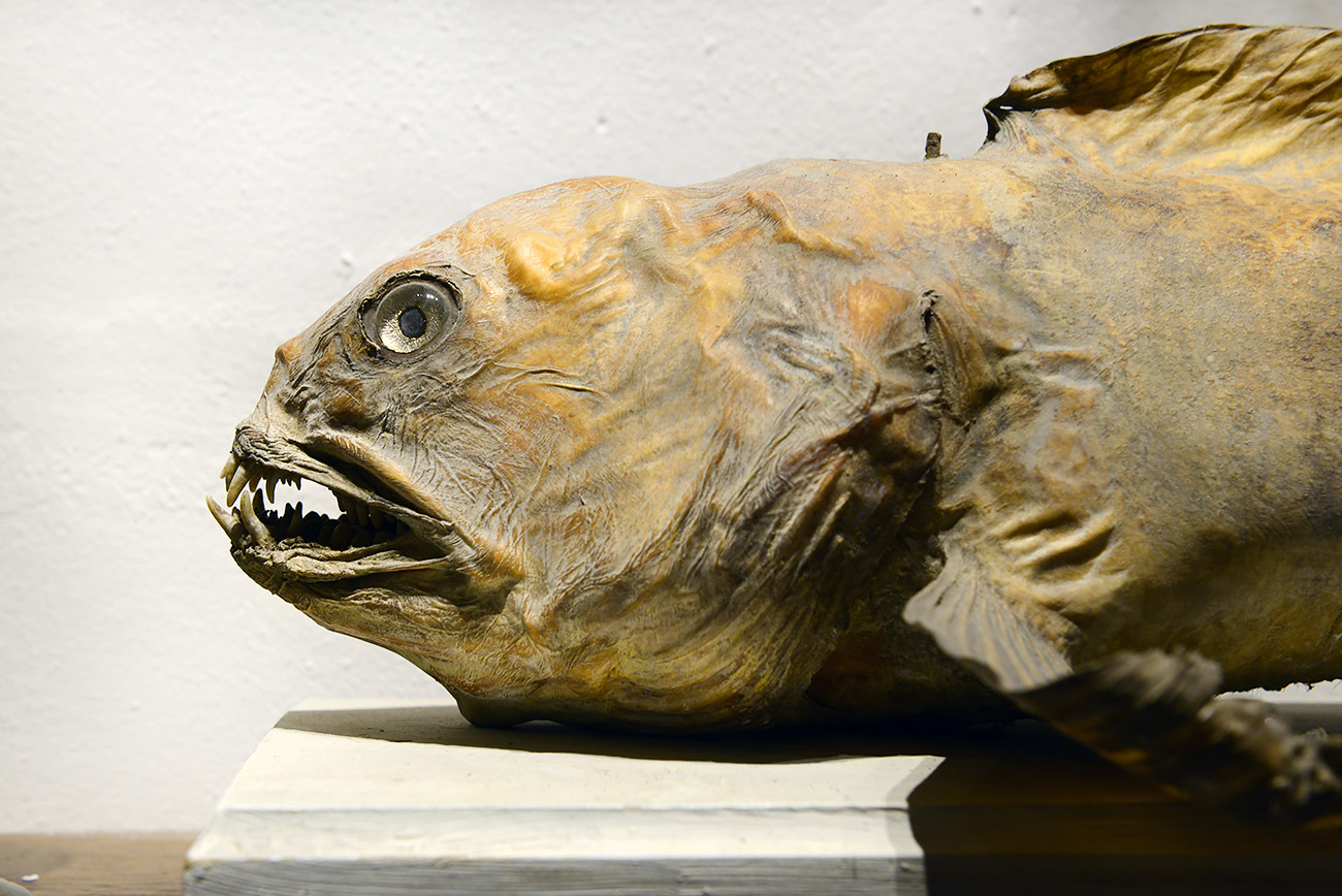 natura docet denekamp 4-2022 2338