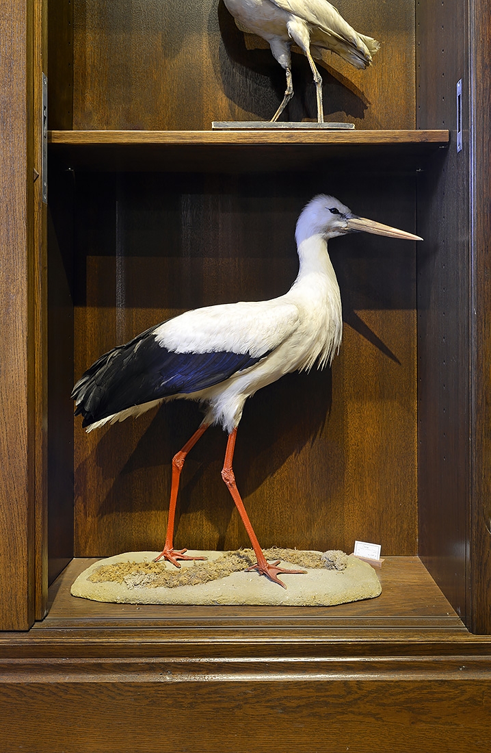 natura docet denekamp 6-2022 3392