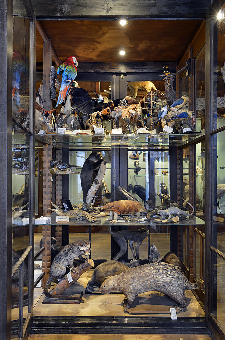 natura docet denekamp 6-2022 3396