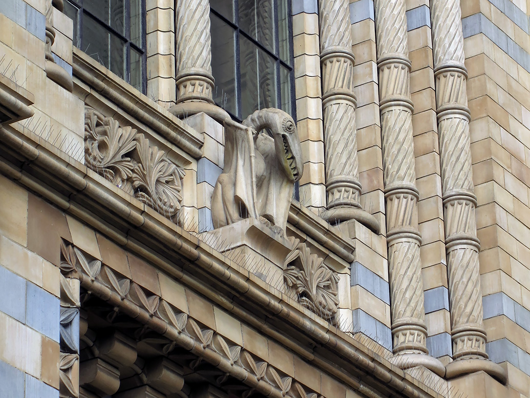 natural history museum londen 5-2015 5940