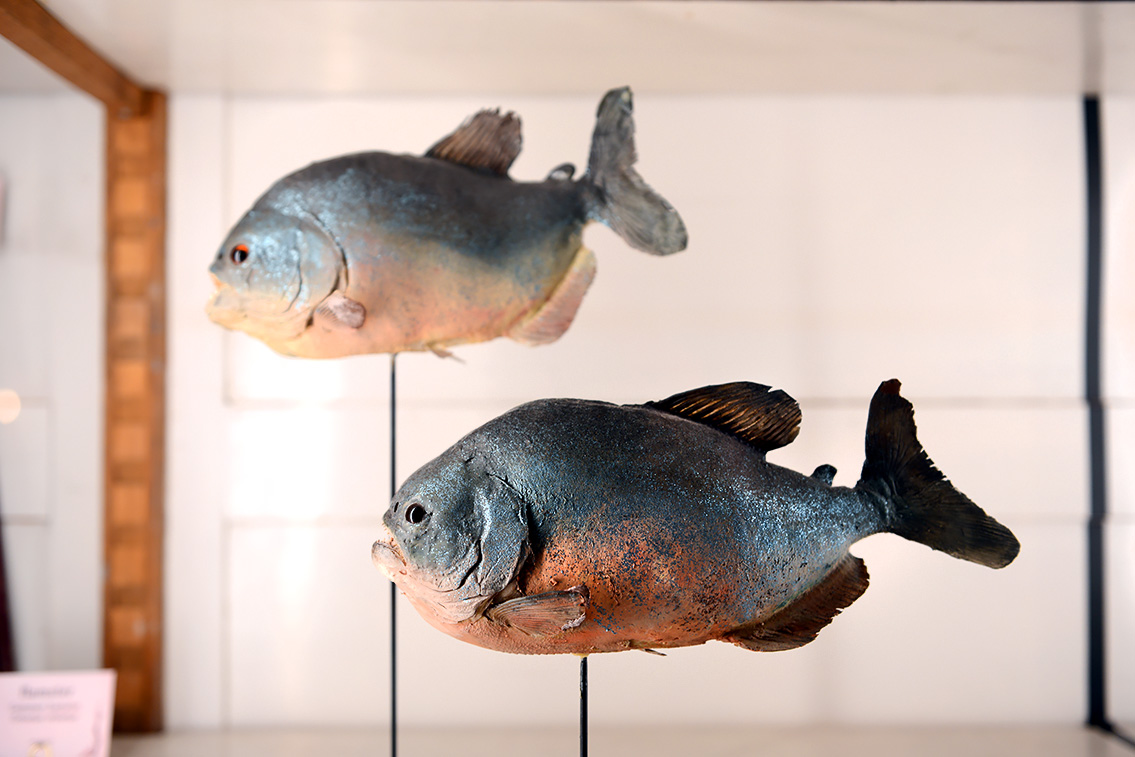 naturalis 9-2021 9606