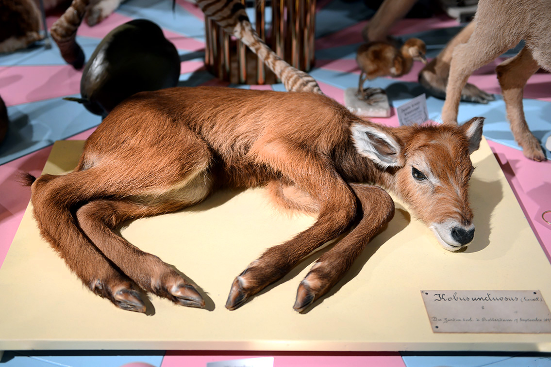 naturalis 9-2021 9616