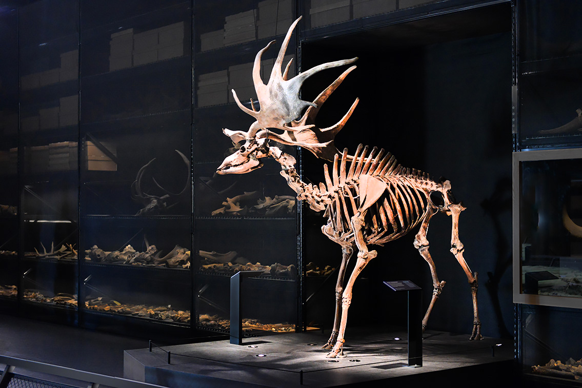 naturalis 9-2021 9729