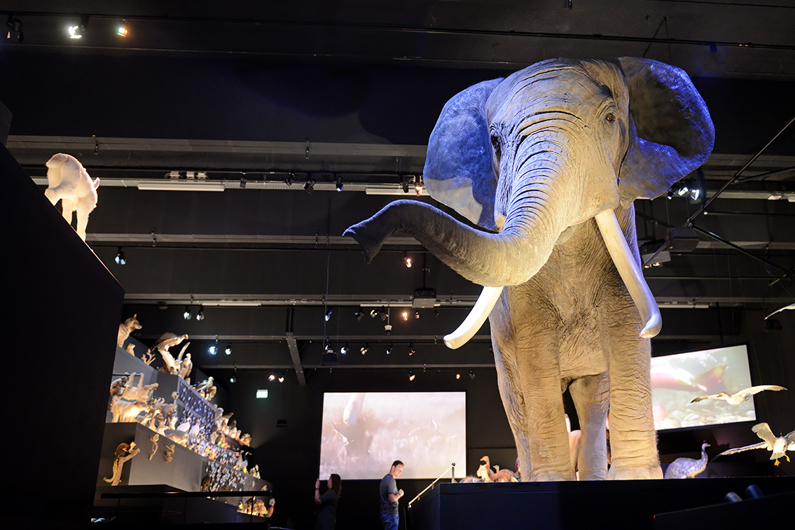 naturalis 9-2021 9803