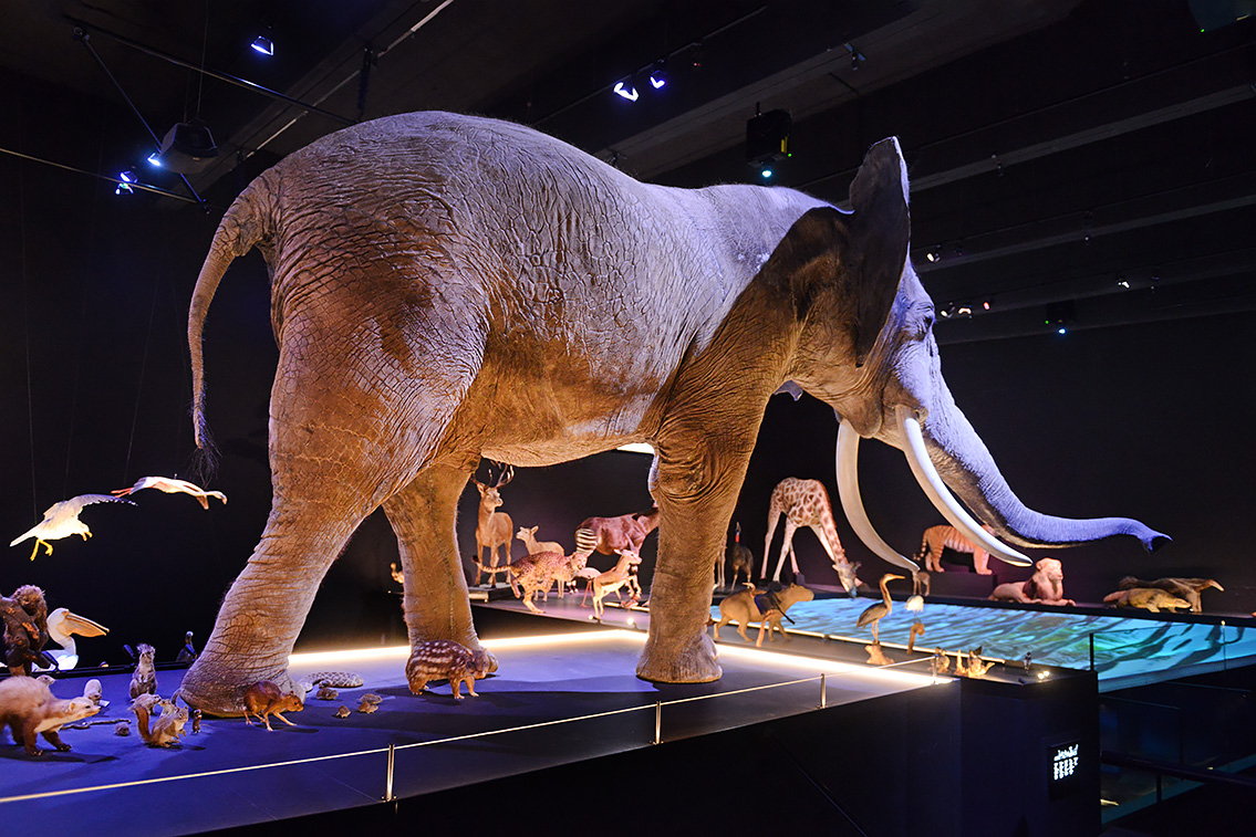 naturalis 9-2021 9812