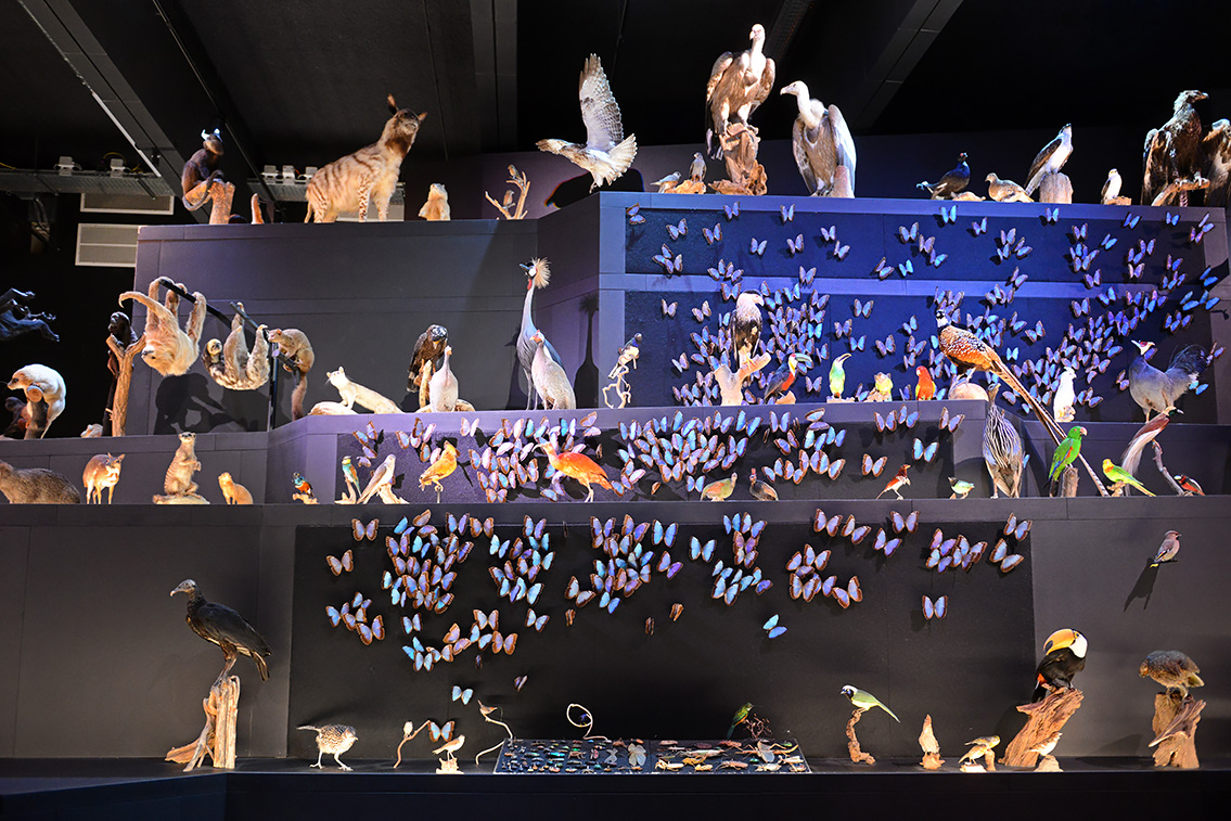 naturalis 9-2021 9816