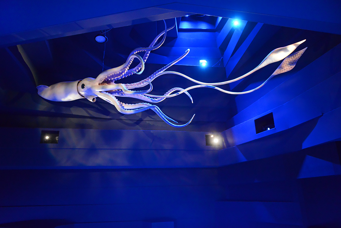 naturalis 9-2021 9864