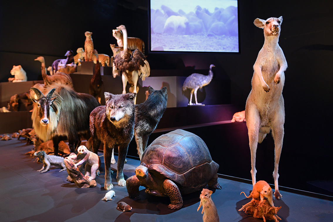 naturalis 9-2021 9881