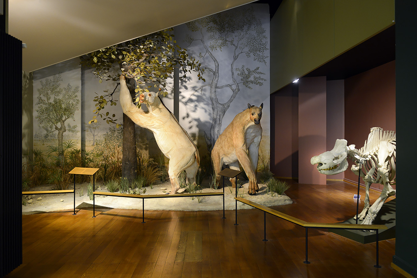 naturhistorisches museum basel 8-2022 4862