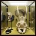 naturhistorisches museum basel 8-2022 4887
