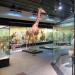 naturhistorisches museum der universitat zurich 8-2024 0976