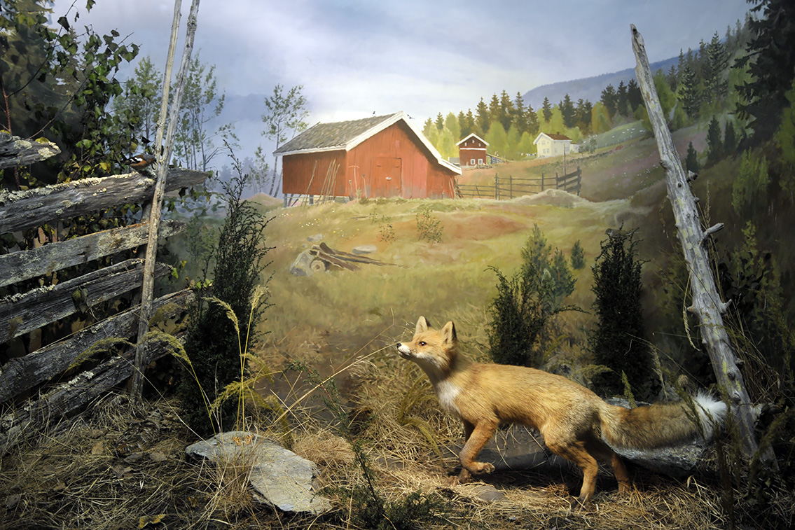 naturhistorisk museum oslo 8-2015 8408