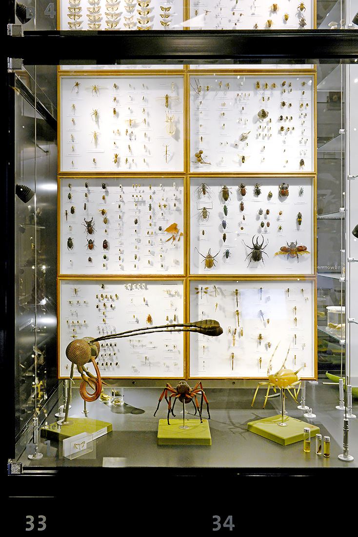 natuurmuseum brabant tilburg 1-2023 6034